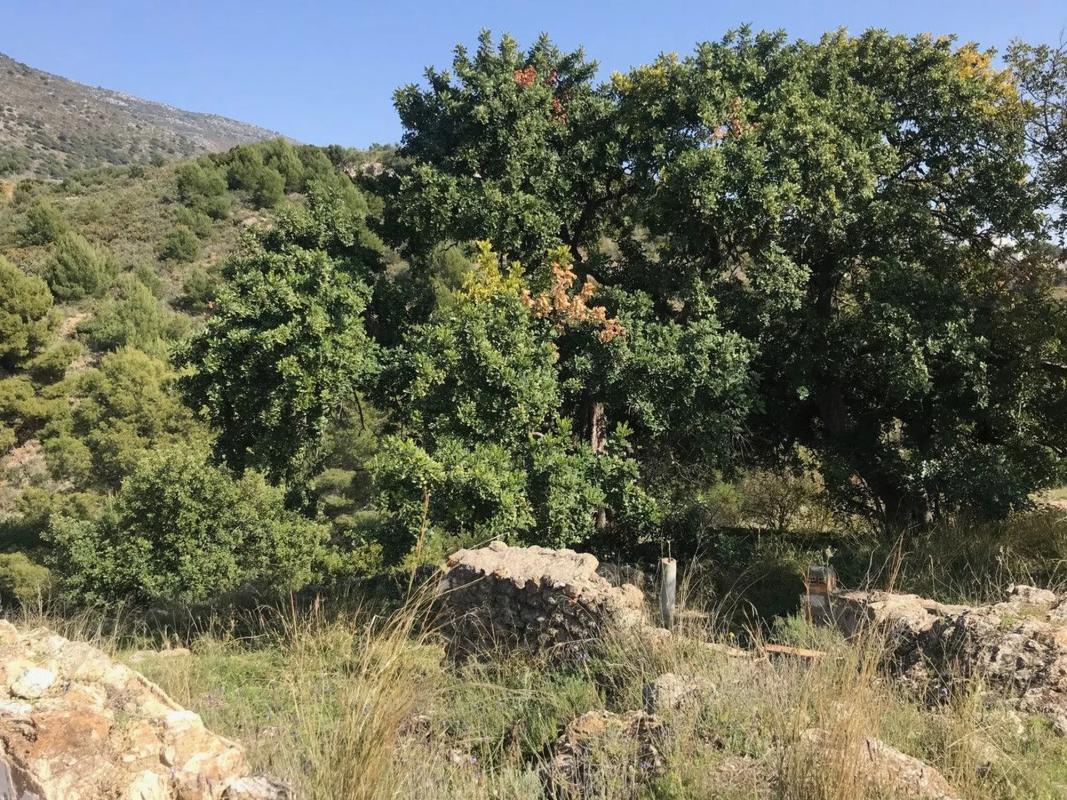 Terreno en venta en Mijas, Malaga photo 5