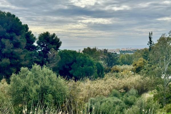 Terreno en Mijas Pueblo photo 3