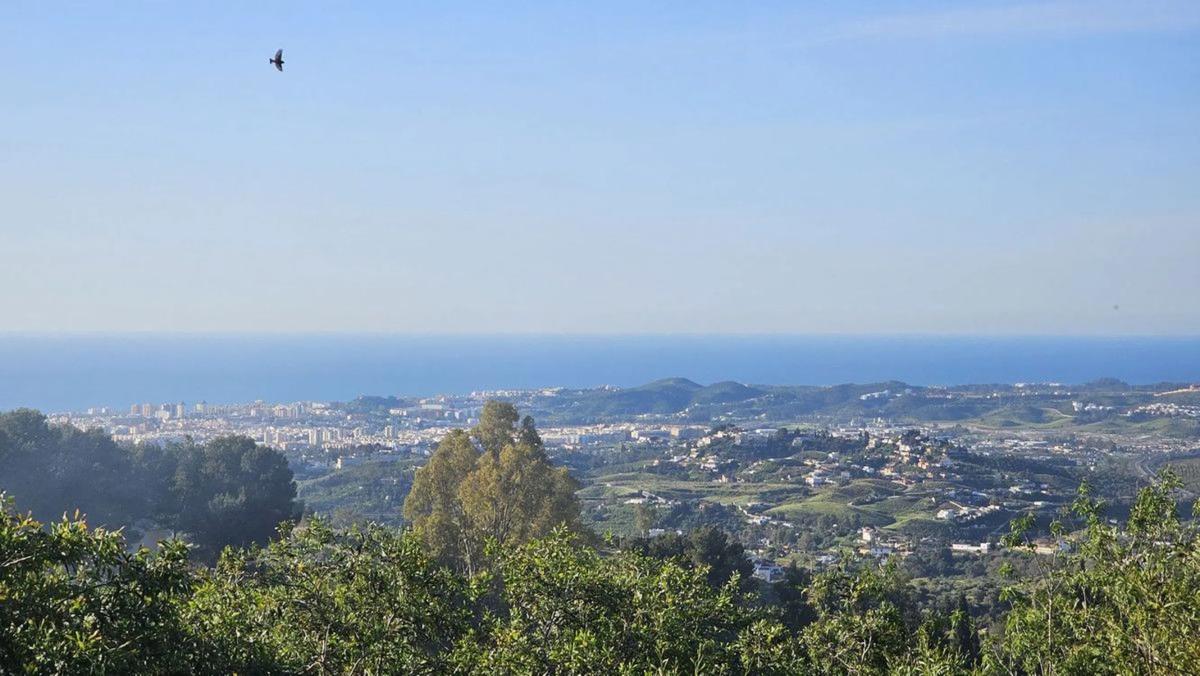 Terreno en venta en Mijas, Malaga photo 5