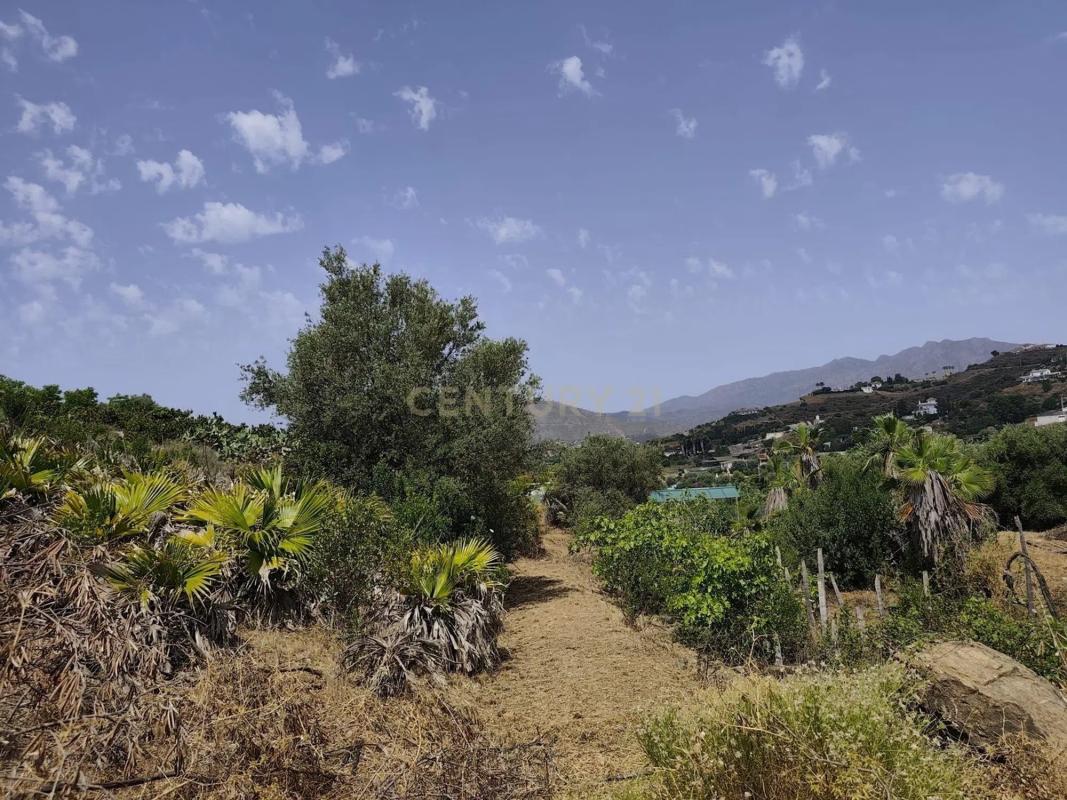 Terreno en venta en Mijas, Malaga photo 3