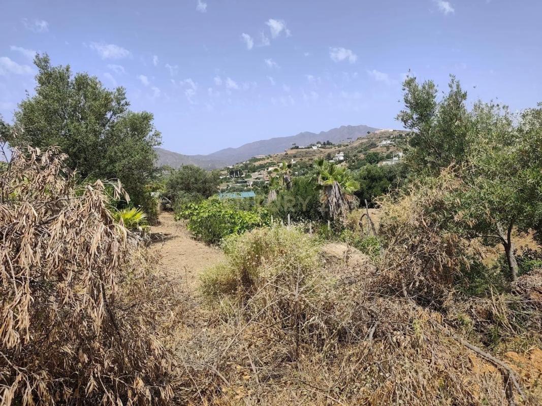 Terreno en venta en Mijas, Malaga photo 4