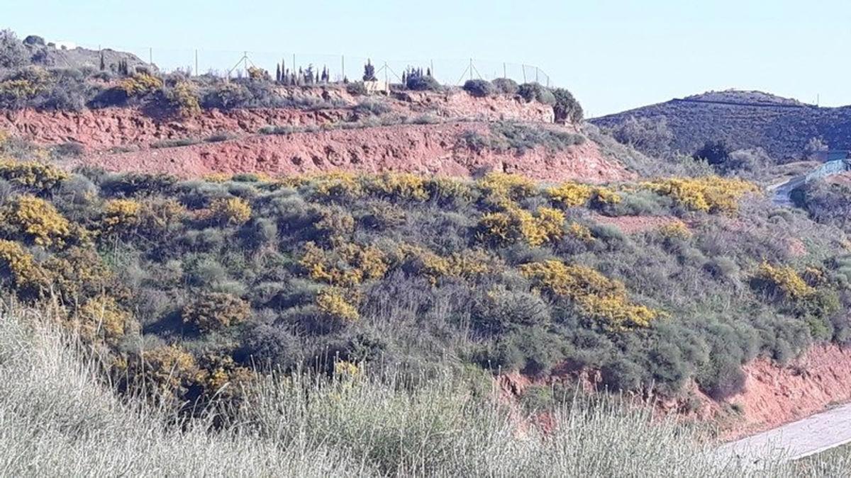 Terreno en venta en Mijas, Malaga photo 3