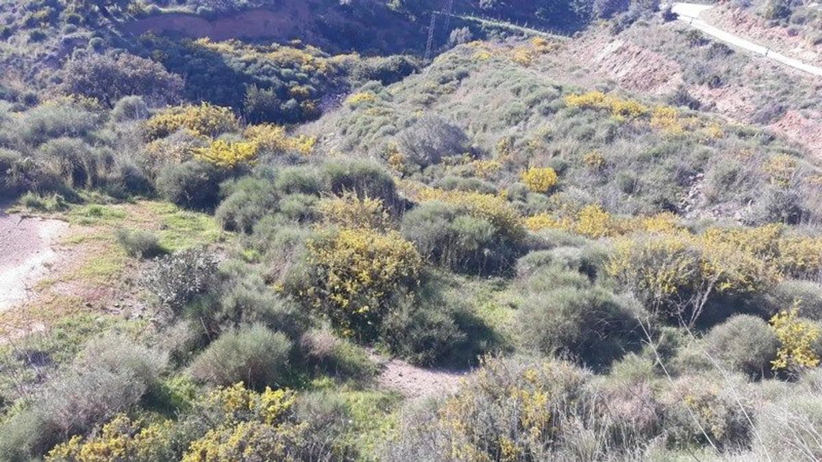 Terreno en venta en Mijas, Malaga photo 5