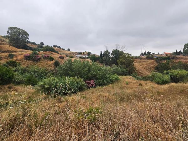 Terreno en camino de Valtocado photo 1
