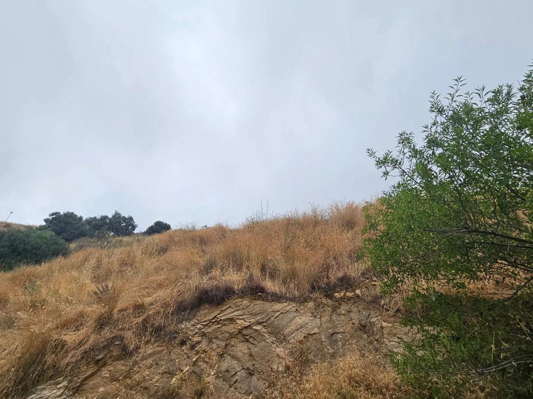 Terreno en venta en Mijas, Malaga photo 2