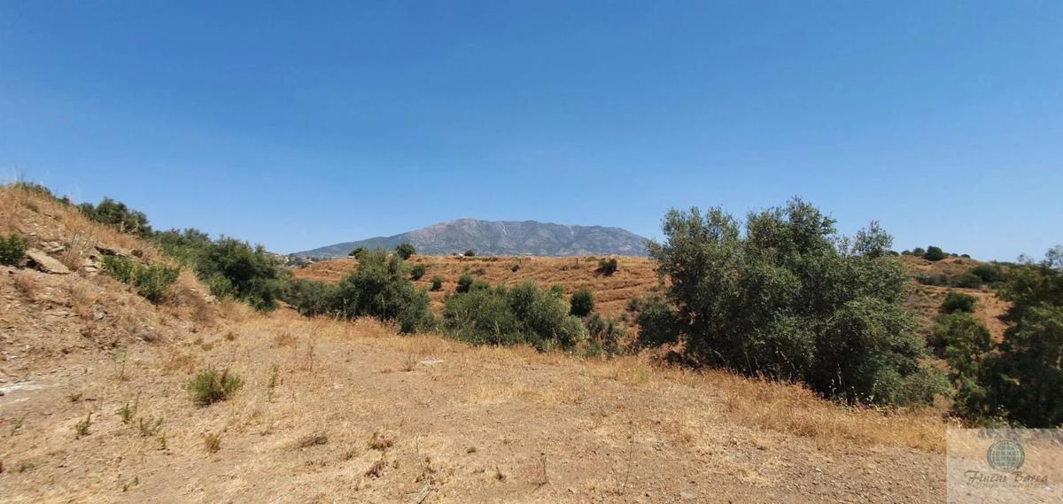 Terreno en venta en Mijas, Malaga photo 2