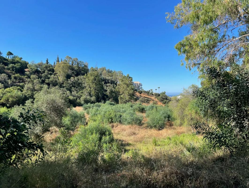 Land for sale in Benahavís, Malaga photo 5