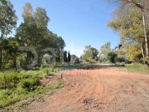 Terreno en Cerro Artola photo 2