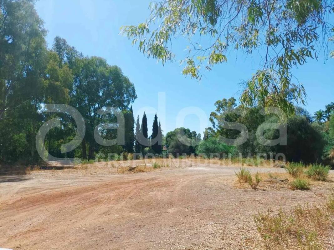 Terreno en venta en Benahavís, Malaga photo 4