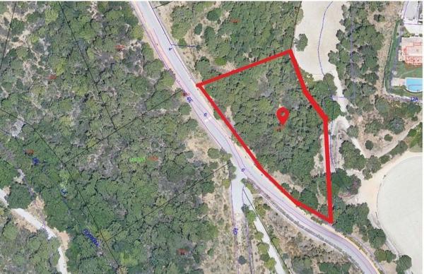 Terreno en Montemayor-Marbella Club photo 1