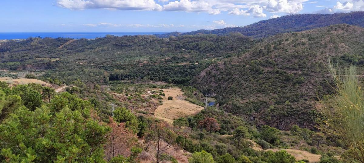 Terreno en venta en Benahavís, Malaga photo 3