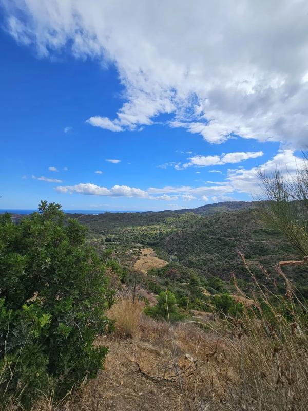 Terreno en venta en Benahavís, Malaga photo 4