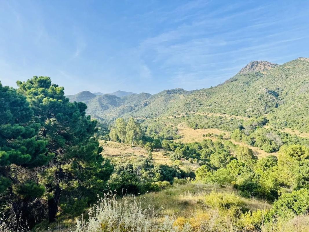 Terreno en venta en Benahavís, Malaga photo 1