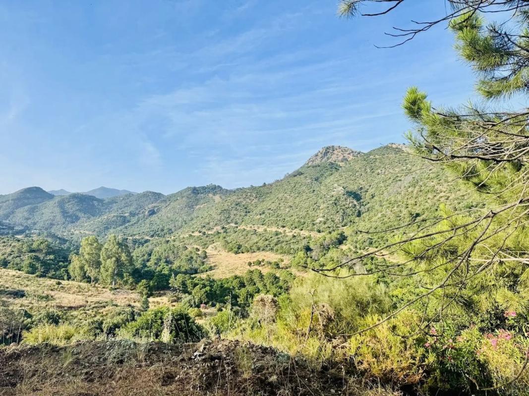 Terreno en venta en Benahavís, Malaga photo 2