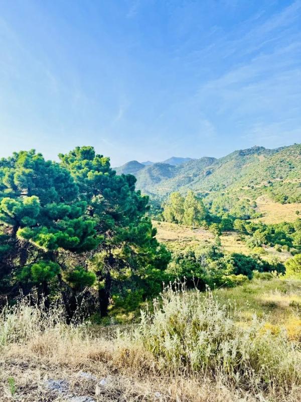Terreno en venta en Benahavís, Malaga photo 4