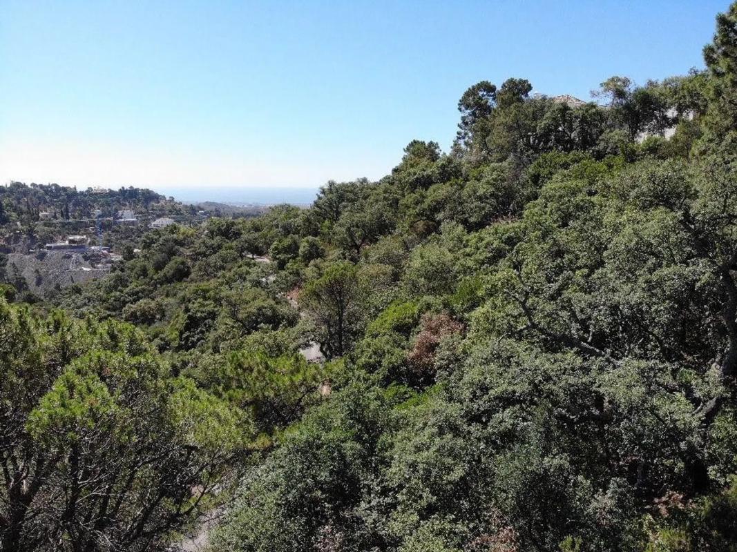 Terreno en venta en Benahavís, Malaga photo 3