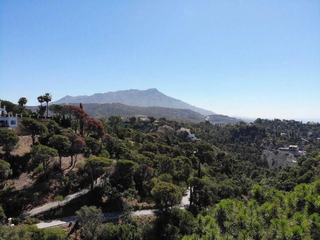 Terreno en venta en Benahavís, Malaga photo 5