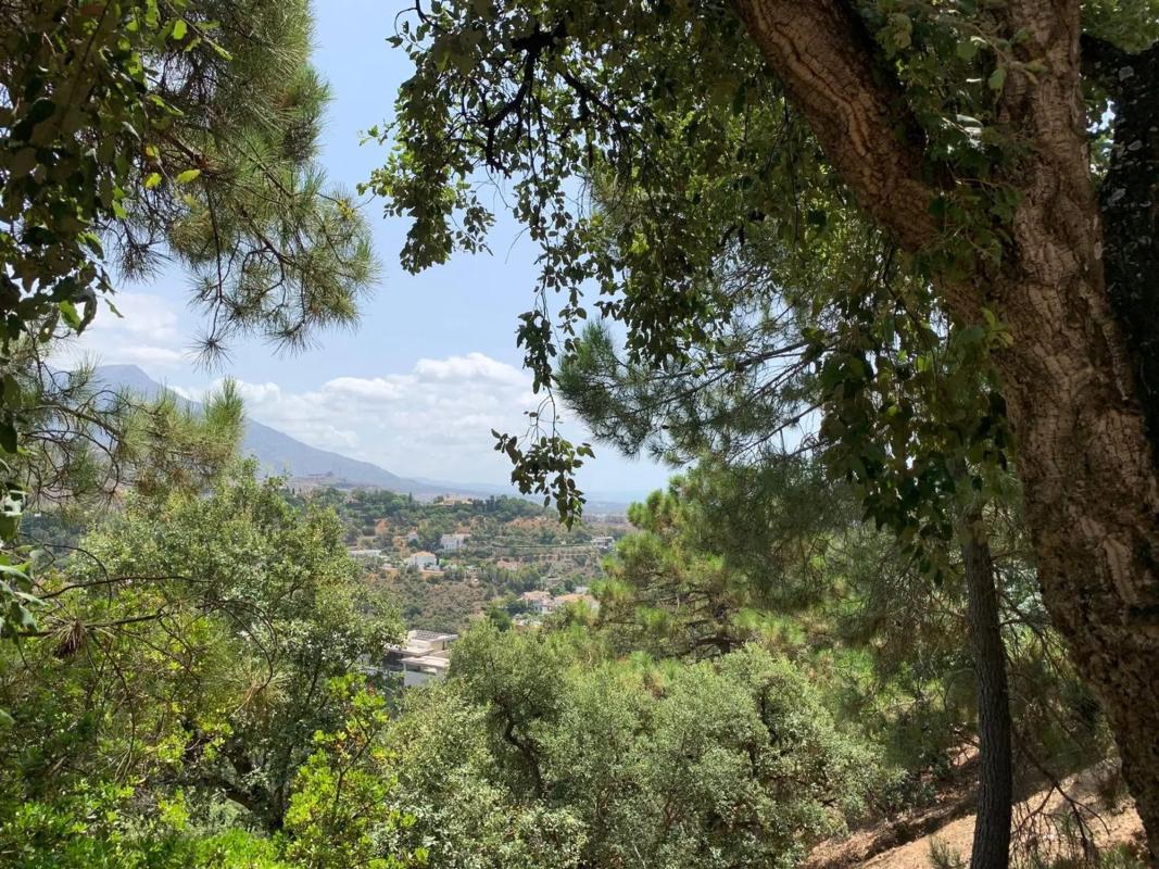 Terreno en venta en Benahavís, Malaga photo 2