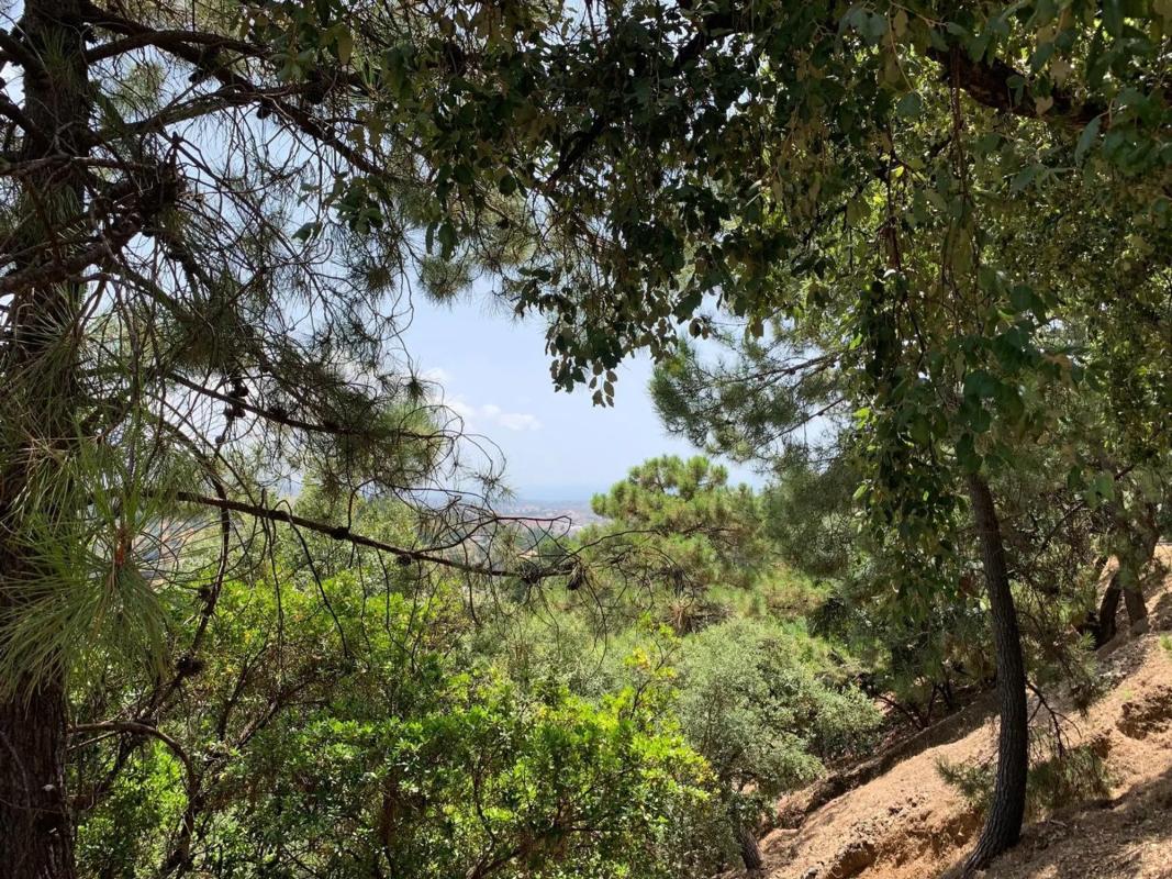 Terreno en venta en Benahavís, Malaga photo 3