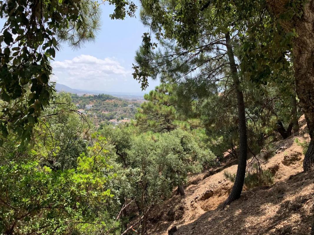 Terreno en venta en Benahavís, Malaga photo 5