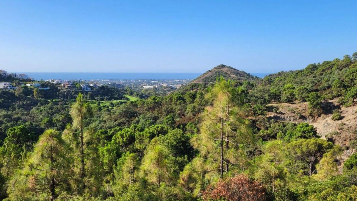 Terreno en venta en Benahavís, Malaga photo 3