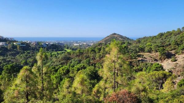 Terreno en Benahavís, photo 3
