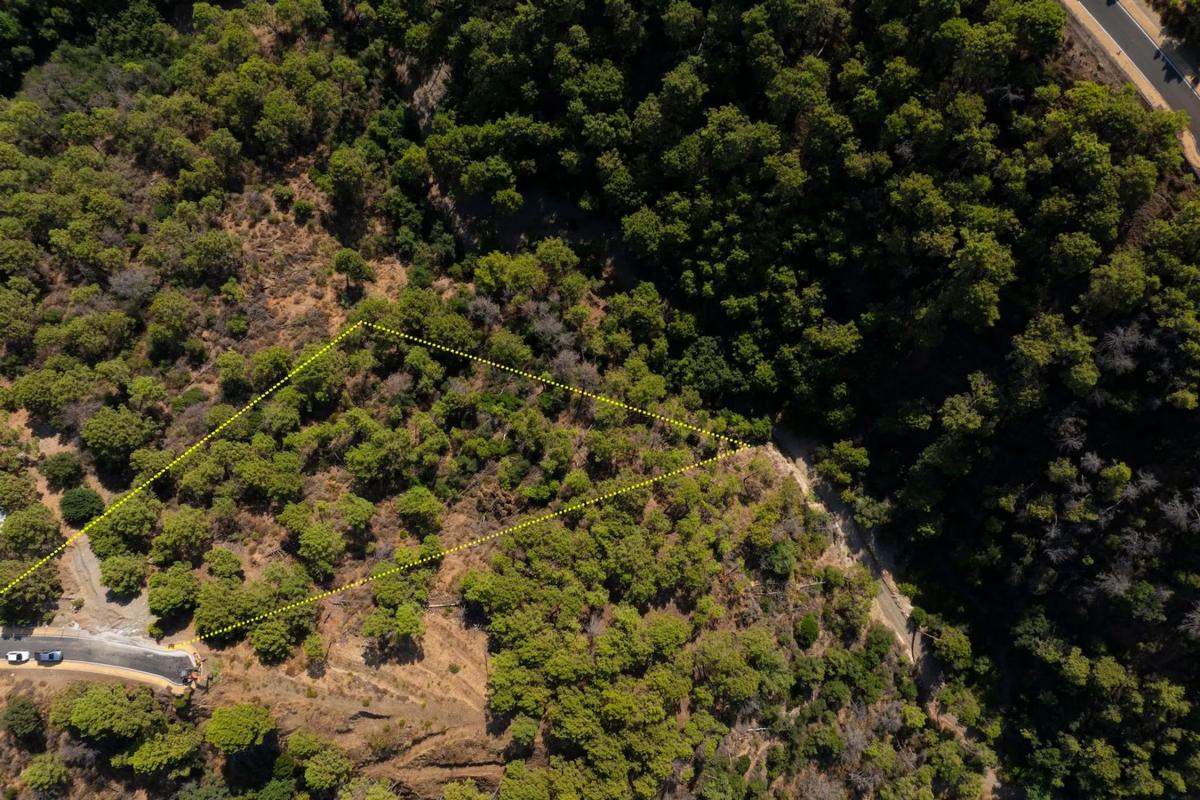 Terreno en venta en Benahavís, Malaga photo 2