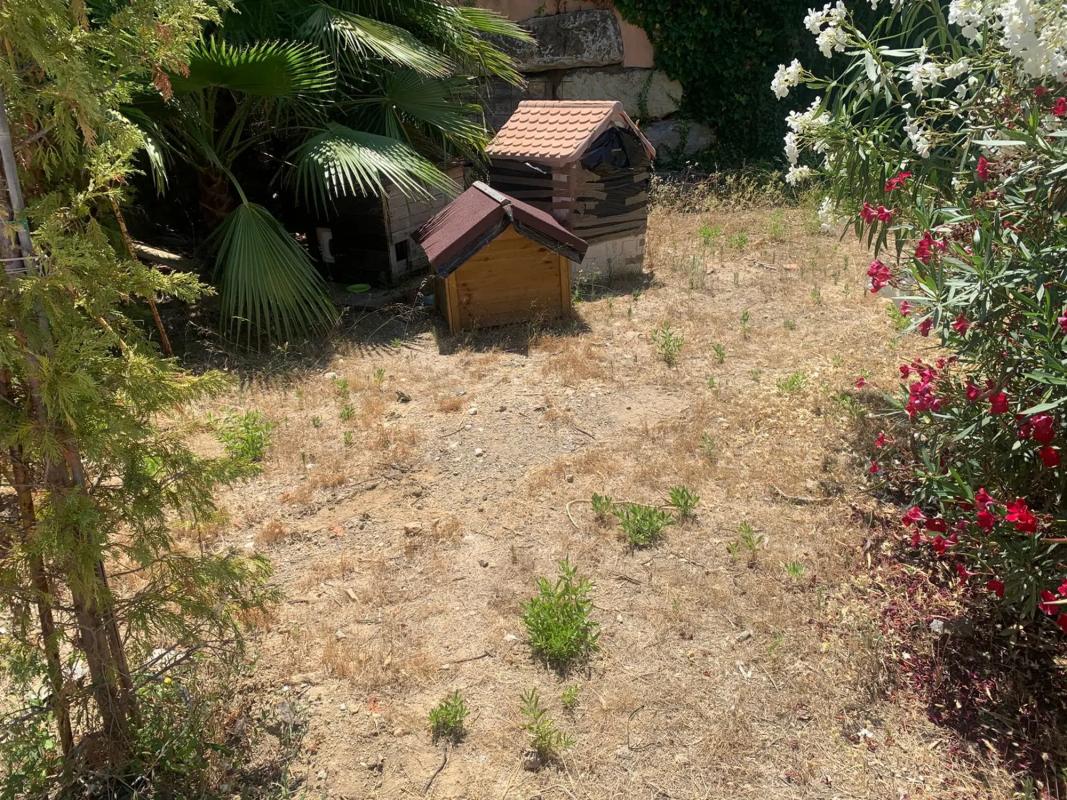 Terreno en venta en Istan, Malaga photo 1