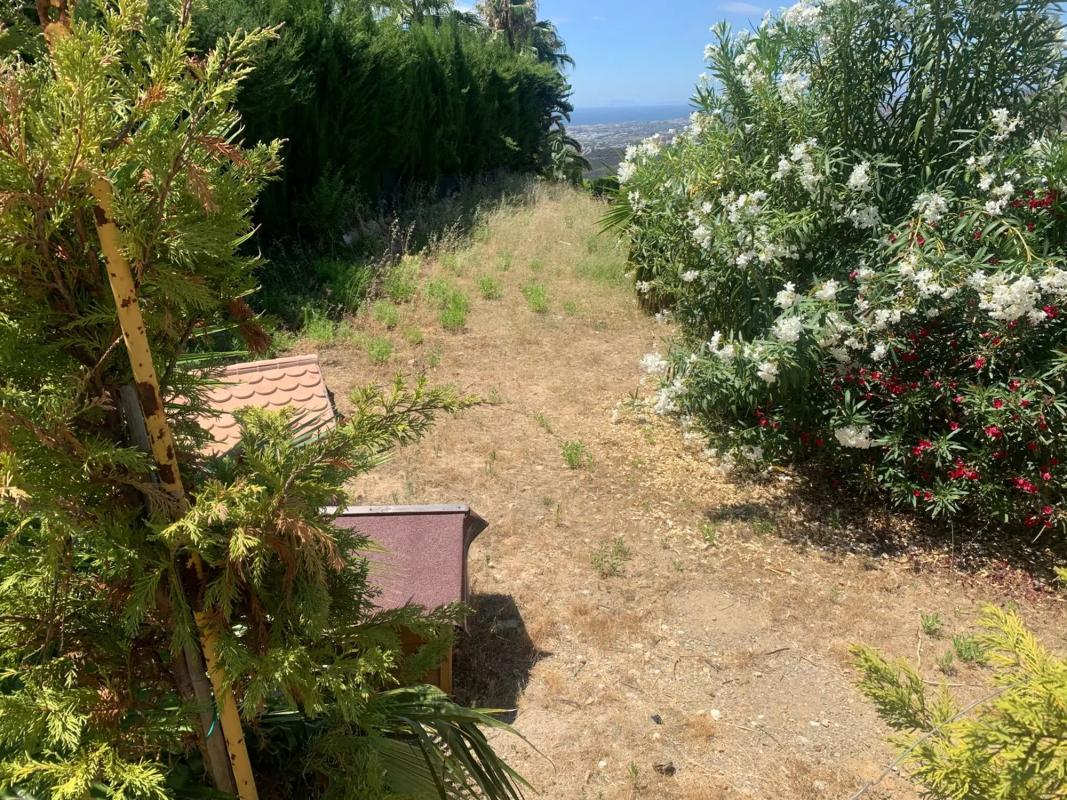 Terreno en venta en Istan, Malaga photo 2