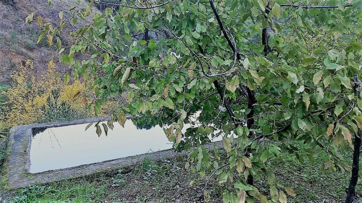Działka na sprzedaż w Istan, Malaga photo 2