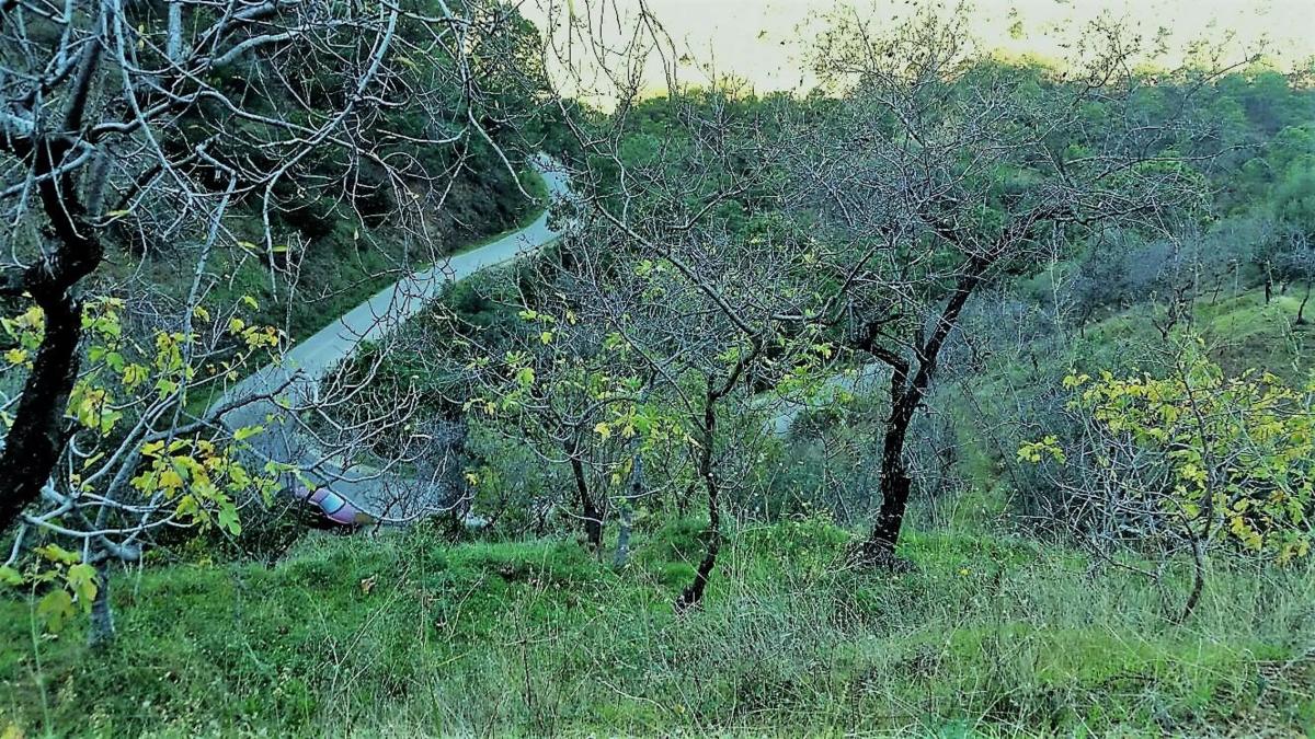 Działka na sprzedaż w Istan, Malaga photo 3