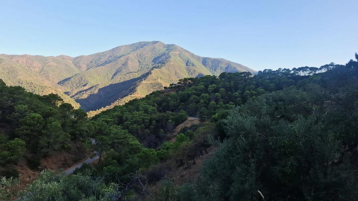 Działka na sprzedaż w Istan, Malaga photo 5