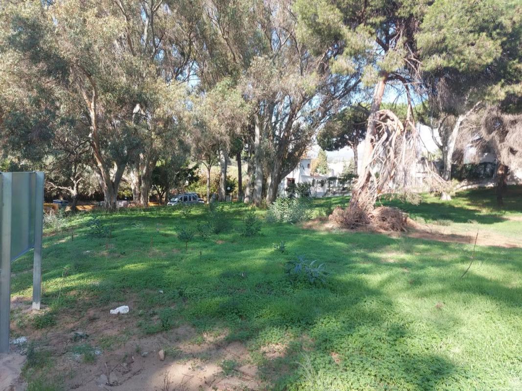 Działka na sprzedaż w Marbella, Malaga photo 2
