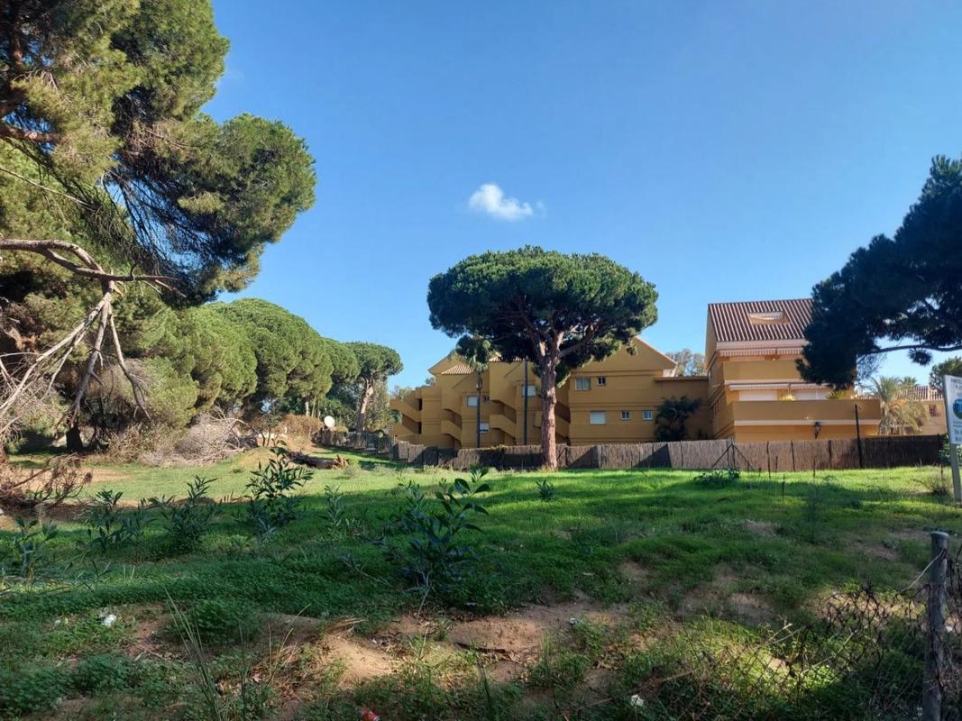 Działka na sprzedaż w Marbella, Malaga photo 3