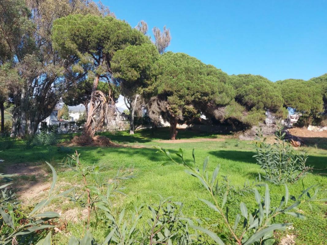 Działka na sprzedaż w Marbella, Malaga photo 4