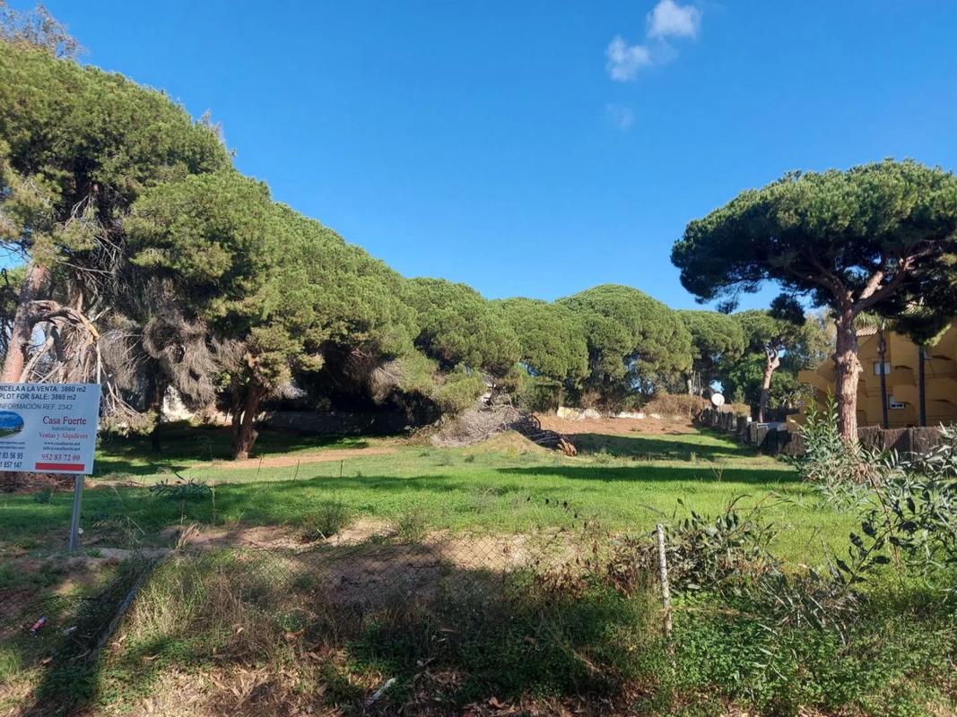 Działka na sprzedaż w Marbella, Malaga photo 5