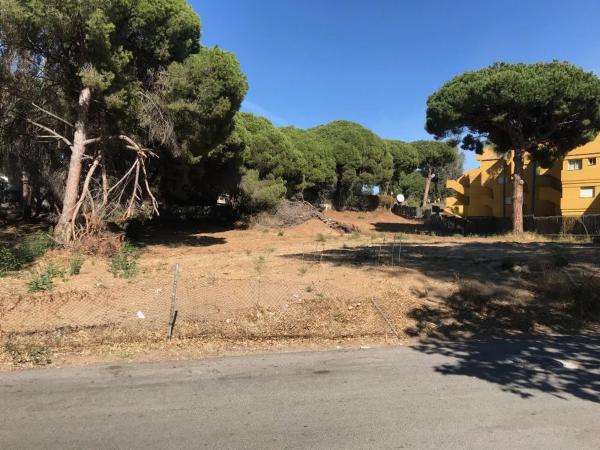 Terreno en avenida Antillas, 8 photo 1