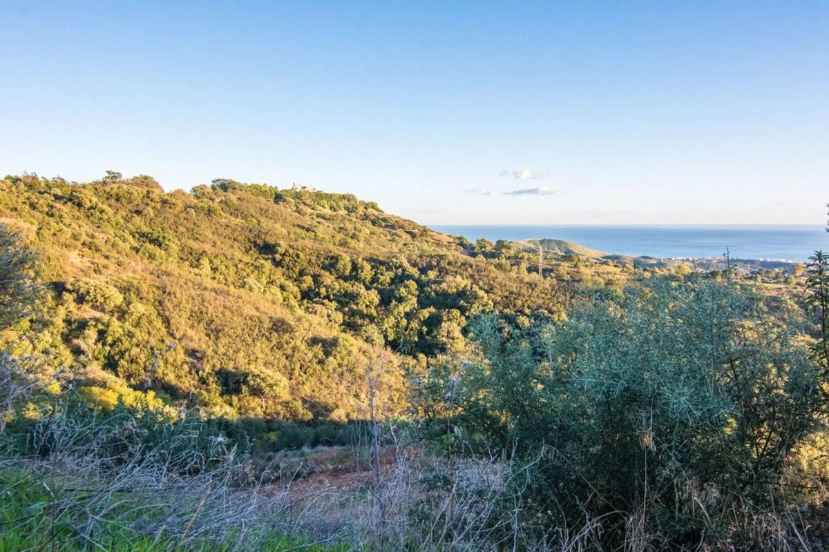 Działka na sprzedaż w Marbella, Malaga photo 5