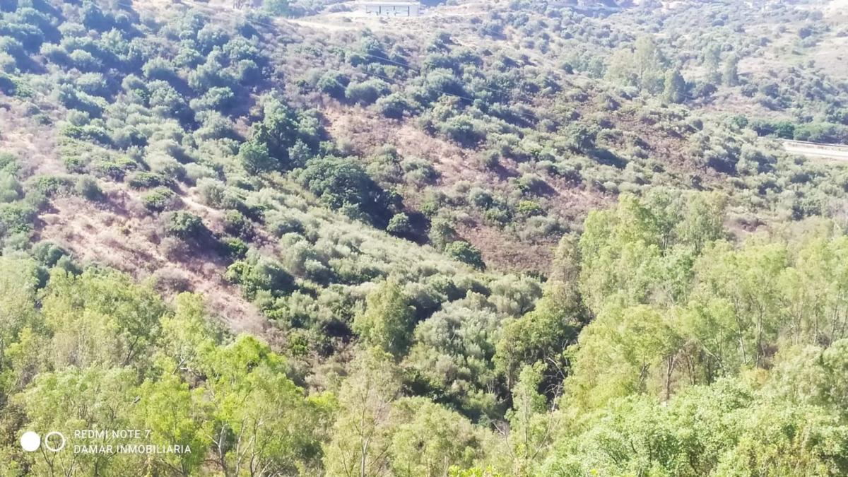 Terreno en venta en Marbella, Malaga photo 4