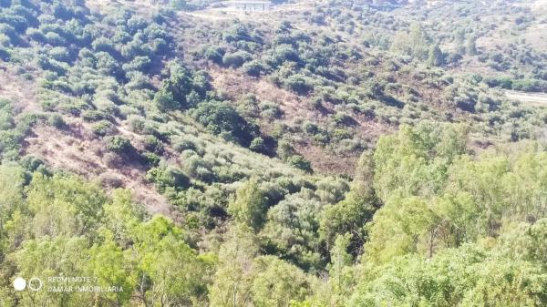 Terreno en avenida de españa s/n photo 4