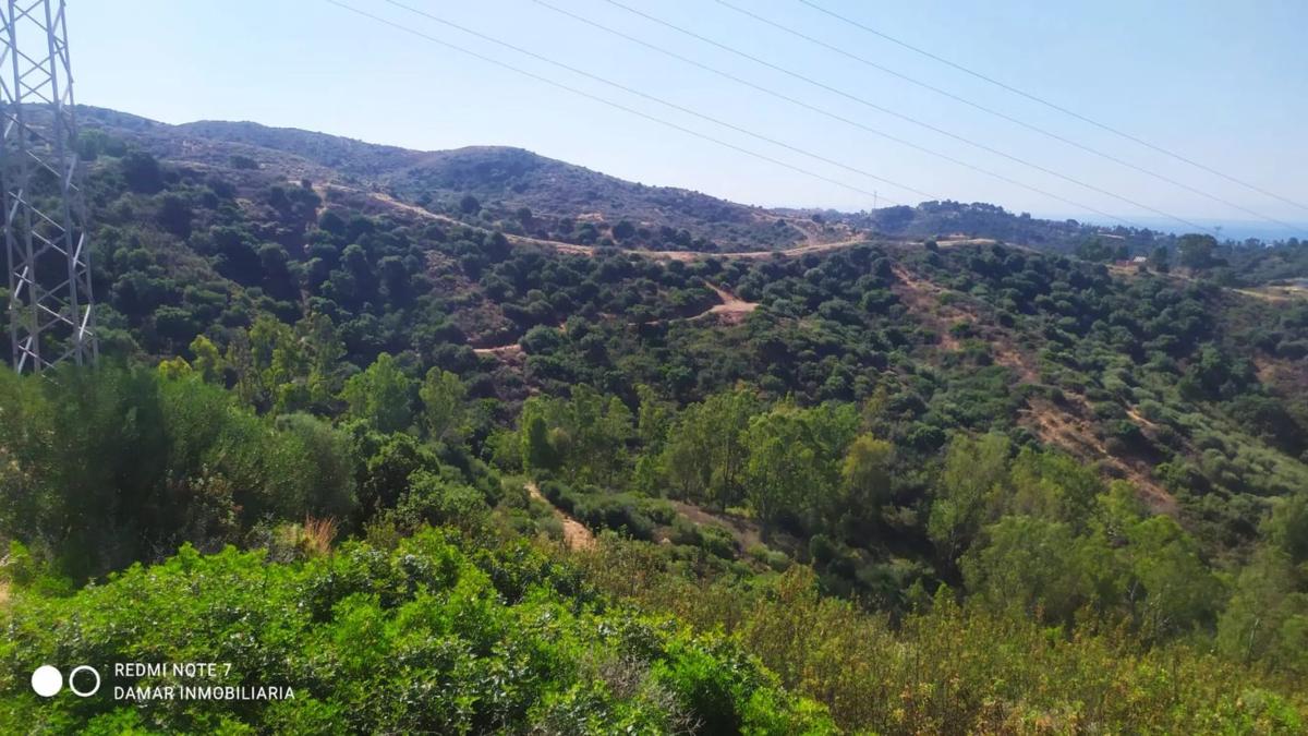 Terreno en venta en Marbella, Malaga photo 5