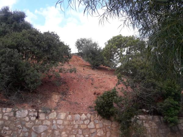 Terreno en avenida Aljaima s/n thumbnail 1