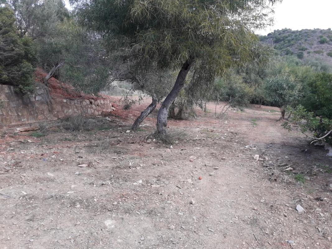 Działka na sprzedaż w Marbella, Malaga photo 3