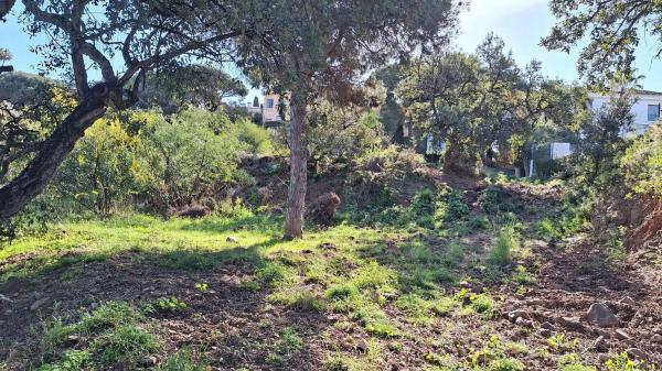 Terreno en Urbanización Parque Elviria photo 1