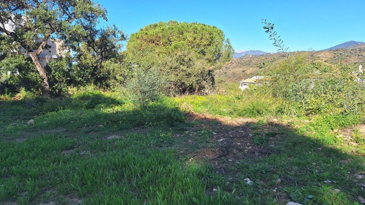 Działka na sprzedaż w Marbella, Malaga photo 3