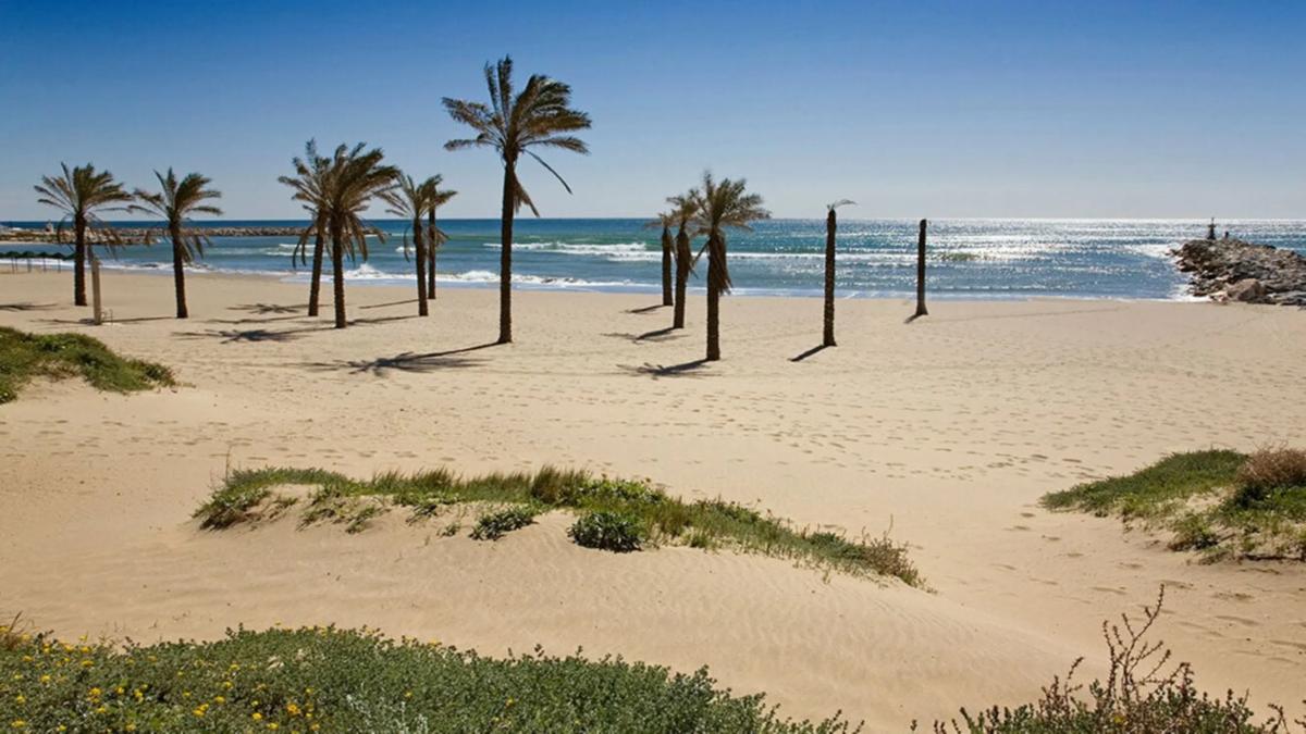 Terreno en venta en Marbella, Malaga photo 3