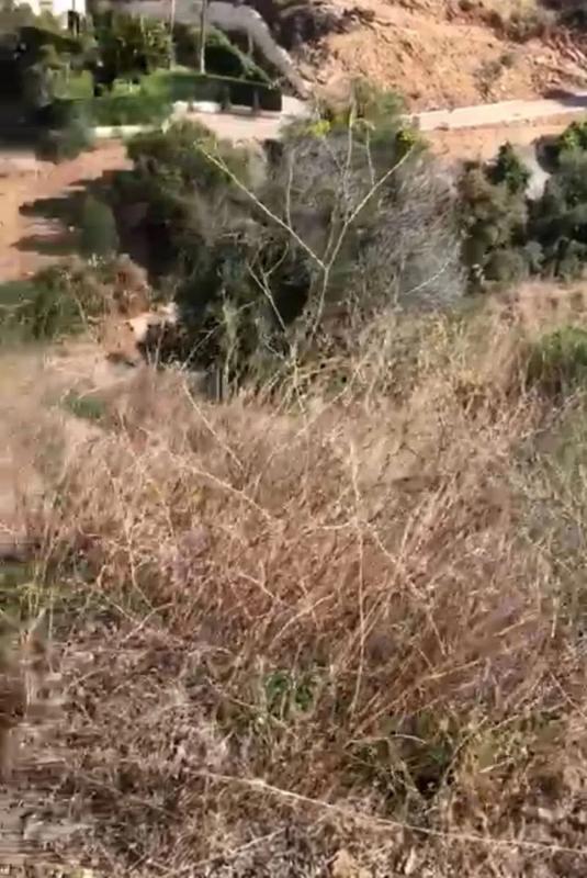 Terreno en venta en Marbella, Malaga photo 4