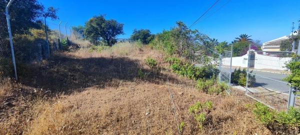 Terreno en avenida los Pinos, 62 thumbnail 1