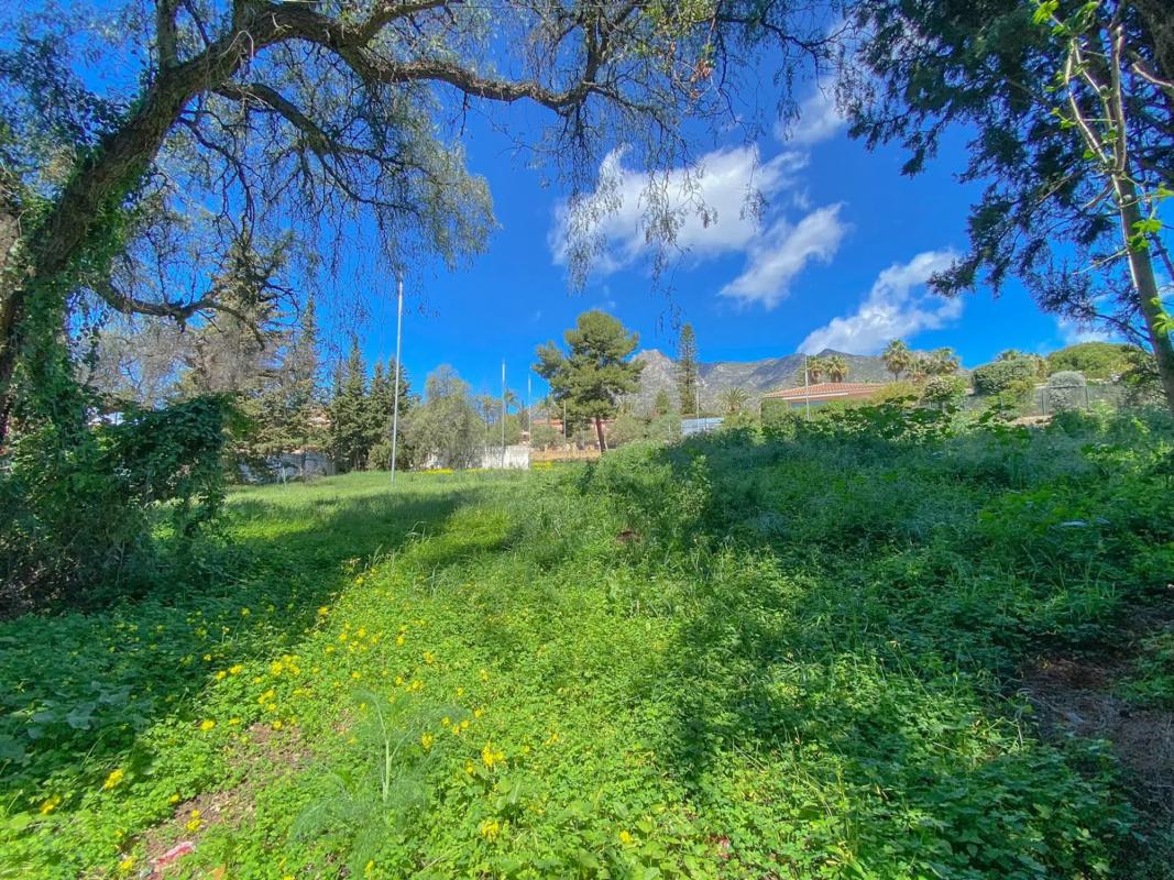 Terreno en venta en Marbella, Malaga photo 2