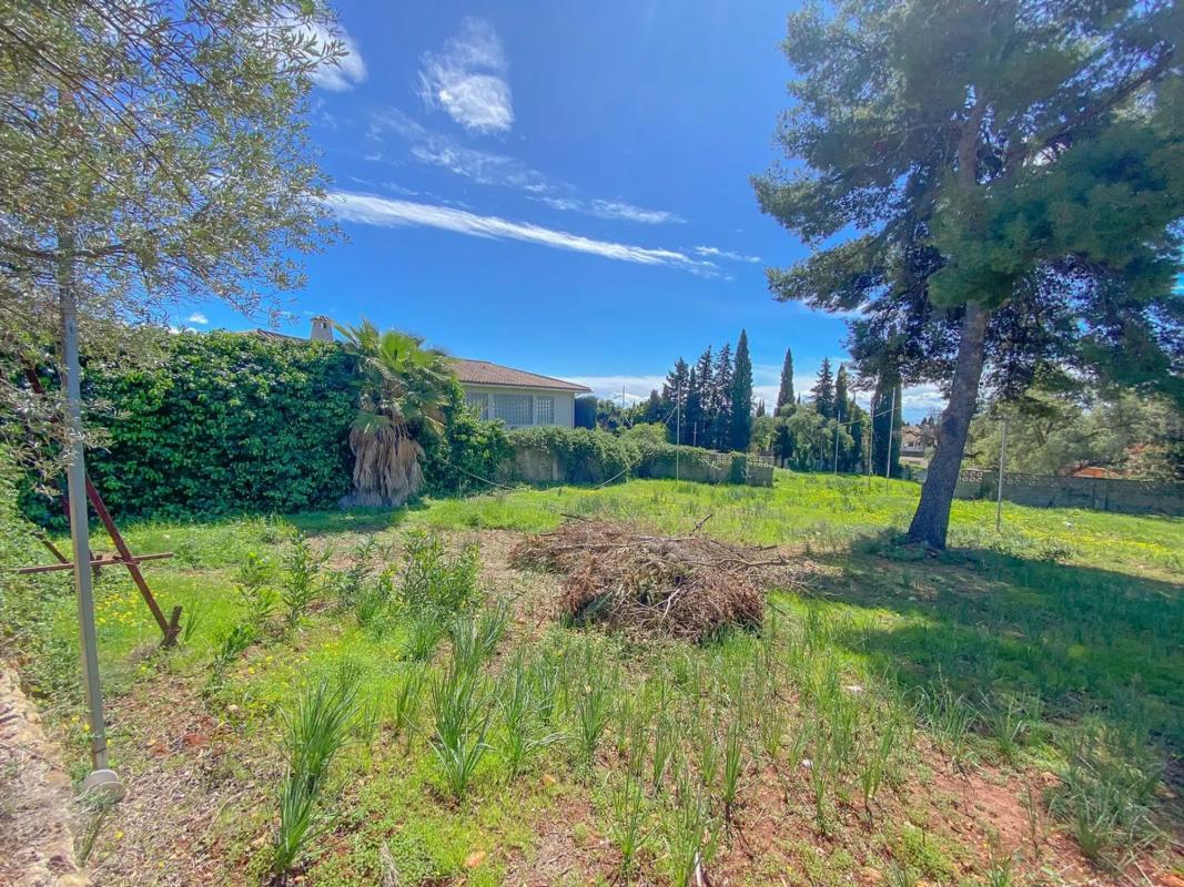 Terreno en venta en Marbella, Malaga photo 3